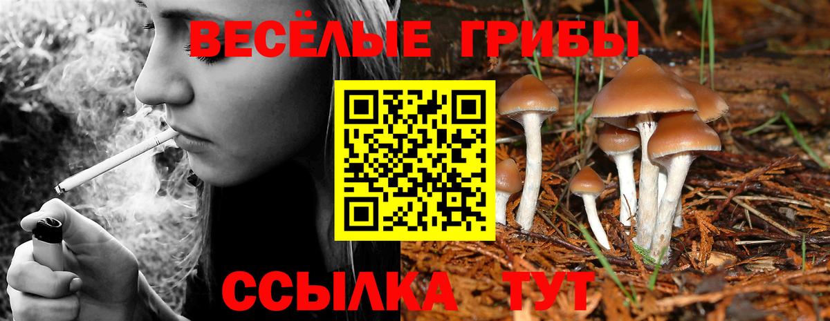 Псилоцибиновые грибы мухоморы Белореченск